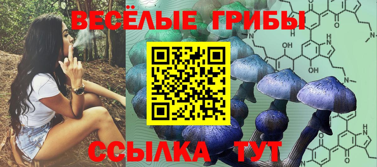 Псилоцибиновые грибы ЛСД  Псилоцибиновые грибы Magic Shrooms  Гагарин  Вход с VPN 