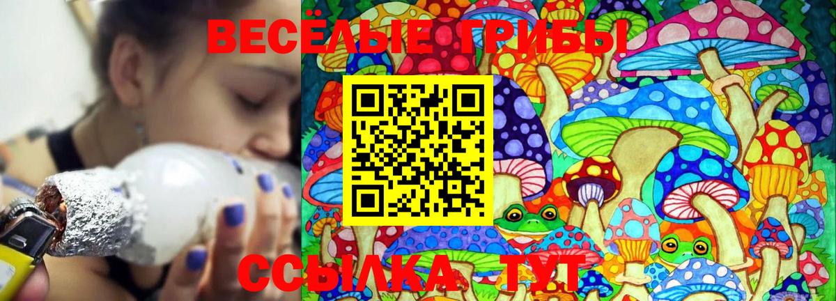 Галлюциногенные грибы Psilocybine cubensis Гагарин