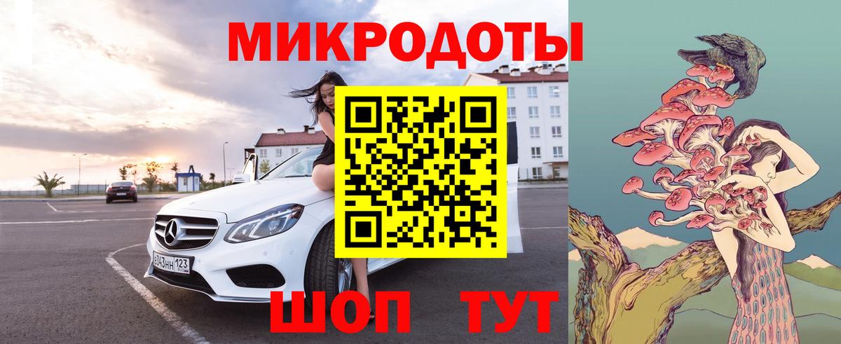 Псилоцибиновые грибы Psilocybine cubensis Гагарин